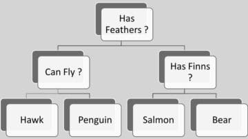 Illustration of a decision tree