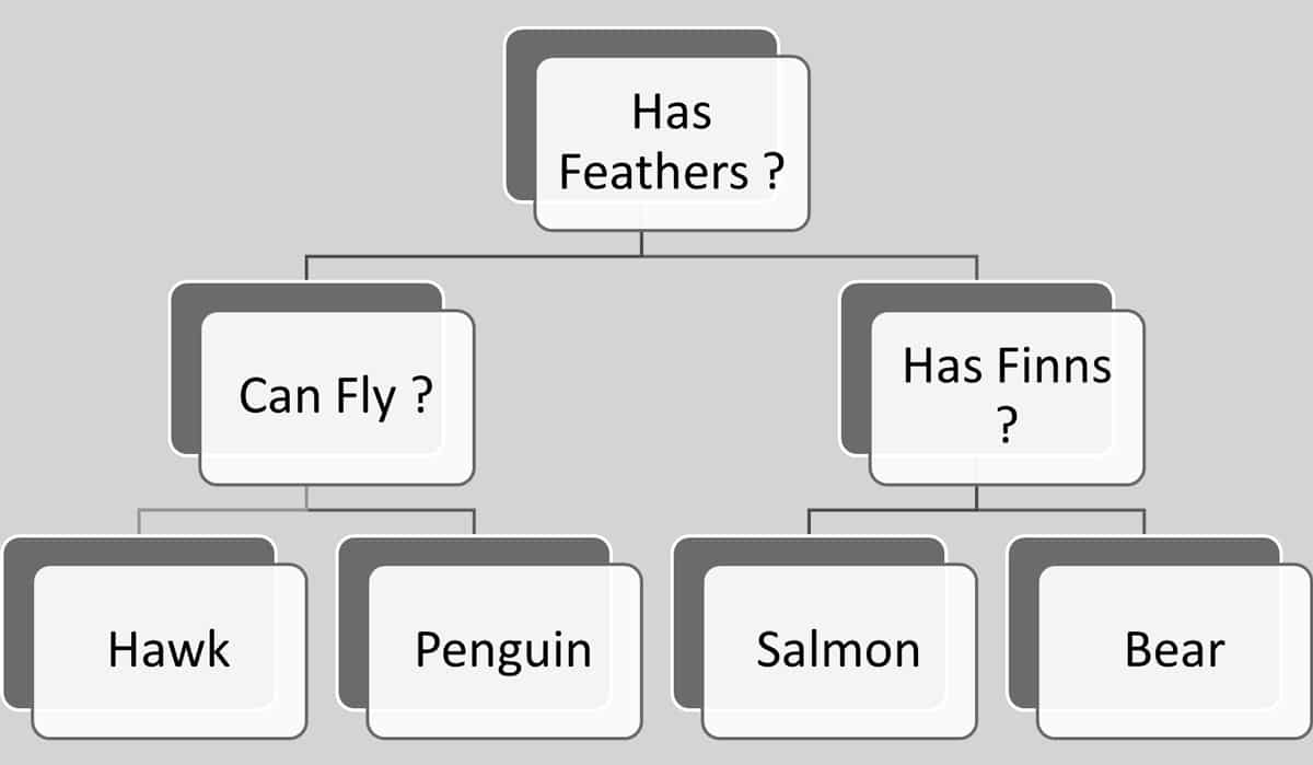 Illustration of a decision tree